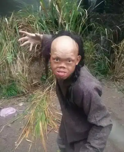 相貌"独特"的两位明星,第二位担任多剧男主角,网友:颜值感人