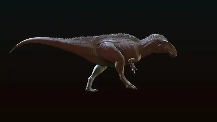 高棘龙|lofter(乐乎) - 让兴趣,更有趣