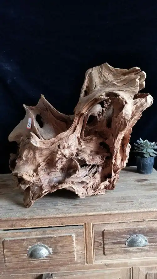 风化木枯木襌艺摆件木质工艺品倒流香设计