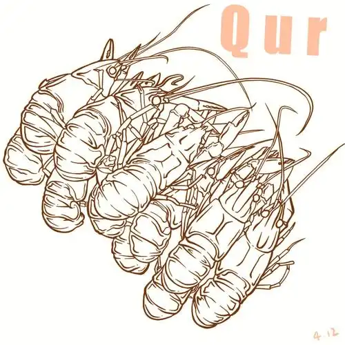 ipad日系美食插画夏日小龙虾