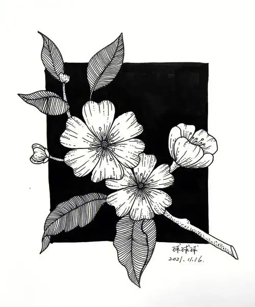 控笔练习打卡  #针管笔手绘  #控笔训练  #装饰画  #黑白线描装饰画