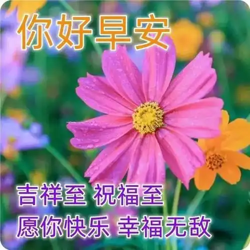 一声快乐,开心您我.愿我们岁岁平安!健康幸福!开心永远!早上好!