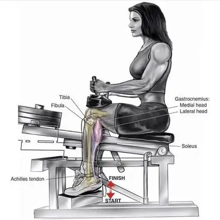 9个腿部训练经典动作图解