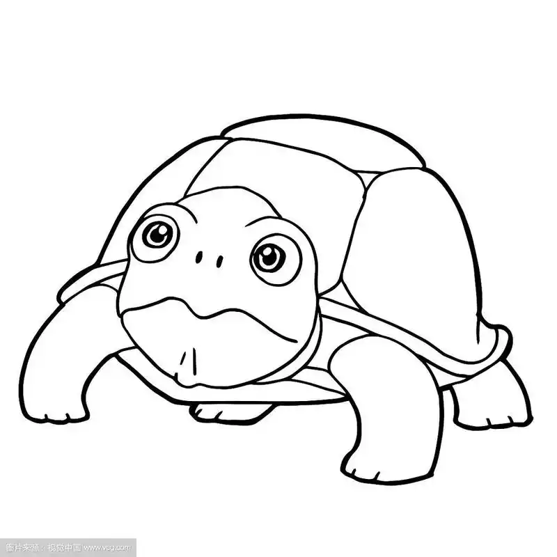 卡通可爱的海龟着色页