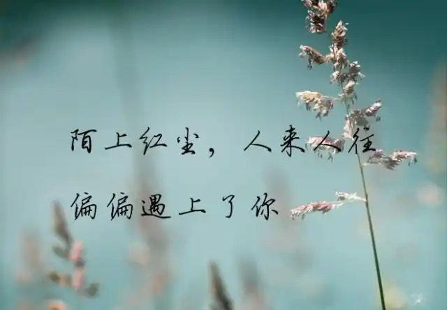 深爱一个人放不下惦记一生