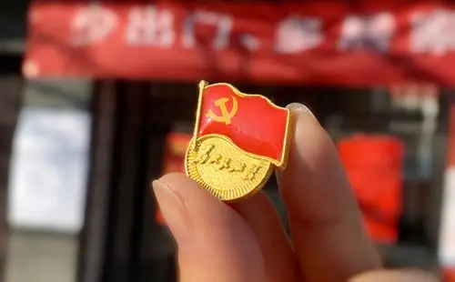 让我的党徽在阳光下熠熠生辉