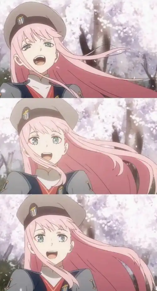 《《darling in the franxx》(国家队)》