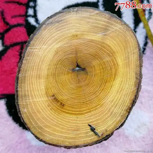 柘木木料观赏收藏木文玩雕刻木料手工小料实木木料天然木纹像如意