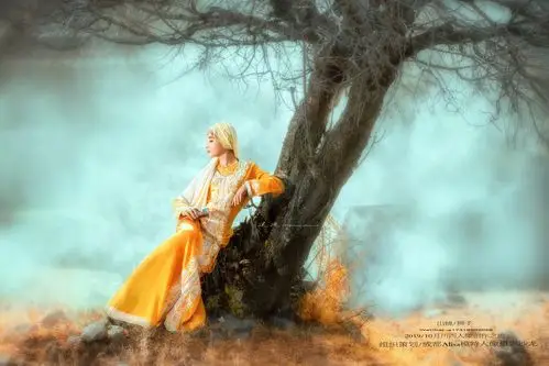 大美川西唯美人像摄影团招募