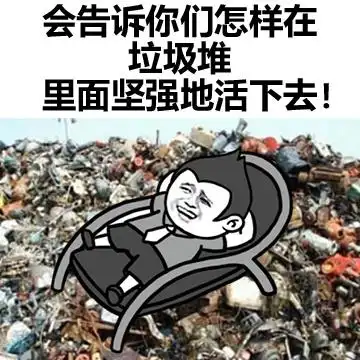 会告诉你们怎样在垃圾堆里面坚强地活下去!