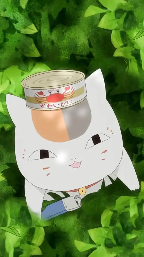 p>斑,日本漫画《 a href="#" data-lemmaid="27649">夏目友人帐 /a>