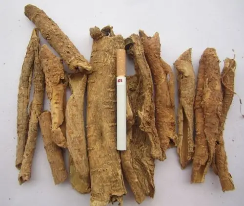 祛除风湿五加皮还具有祛除风湿的功效,主要针对的就是下半身的风湿