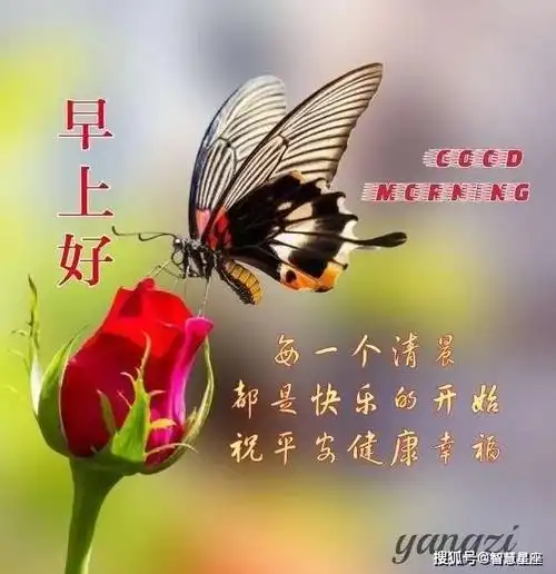 原创7月19日星期一早上好问候祝福动态表情图片大全夏季最新早上好
