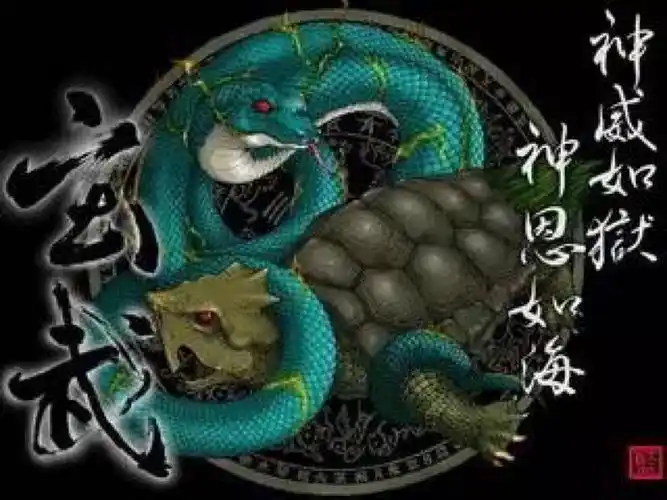 玄冥起初是对龟卜的形容:龟背是黑色的,龟卜就是请龟到冥间去诣问袓先