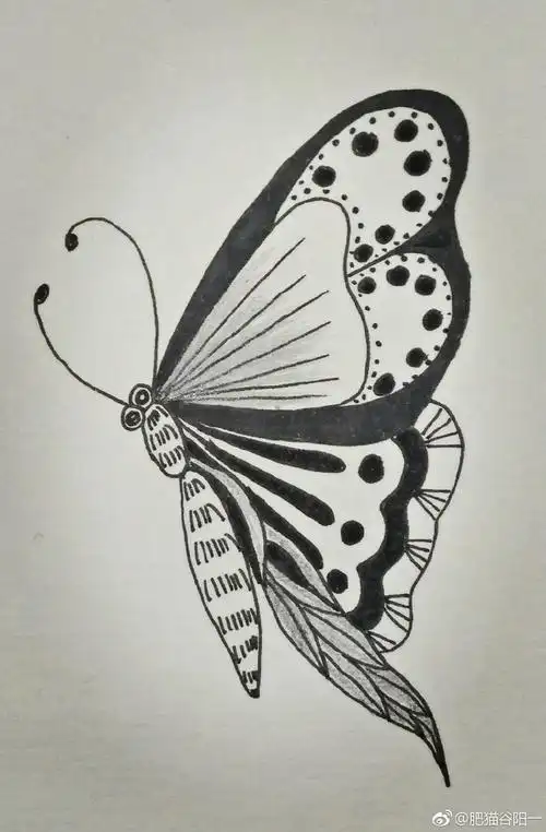 插画##黑白画涂鸦##黑白线描插画##每日一画##装饰画