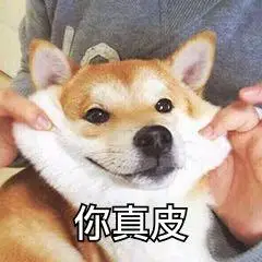 你真皮表情包 - 表情图