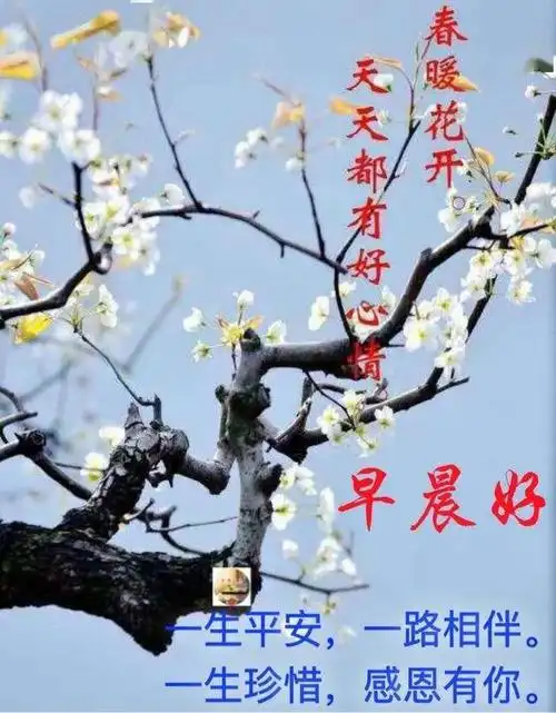 4张春暖花开早安图片带字唯美的微信朋友圈早上好图片带祝福语