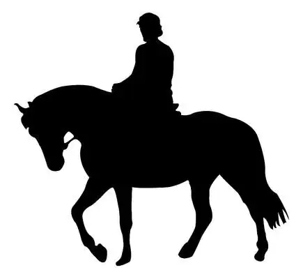 两个骑马汉子剪影