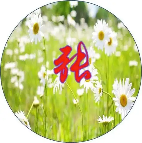 张姓图腾起源说张氏数十张头像十大历史名人及十余大名星图