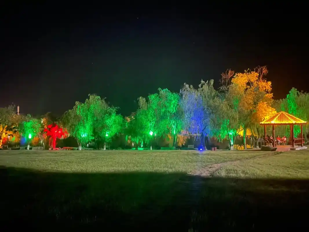 这是儿子在大学里拍的校园夜景,去学校的第二个晚上,他把他在学 - 抖