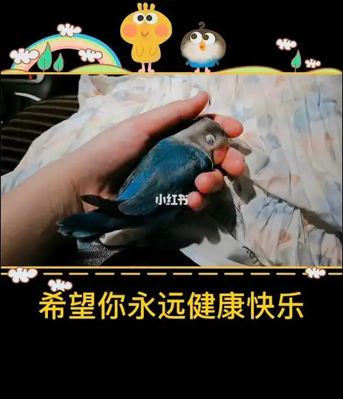 希望你永远健康快乐