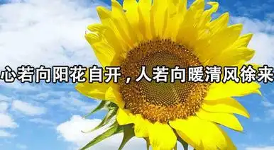 男对女说我"心若向阳花自开,说若向暖清风徐来,愿您一切安好,就这样吧