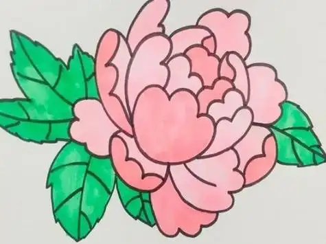 牡丹简笔画图片大全彩色 牡丹简笔画简单好看