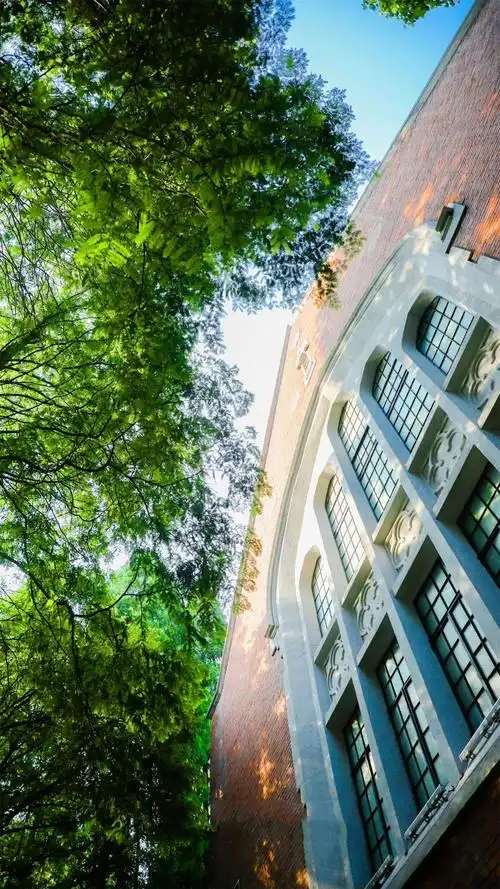 这些校园里,藏着夏日最美的风景