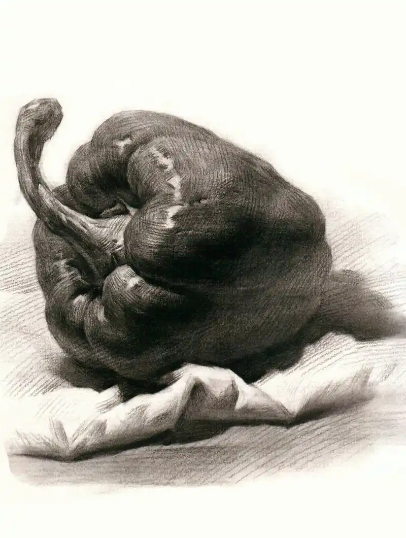 【每日分享】素描静物单个对照临本分享丨水果类#美术生