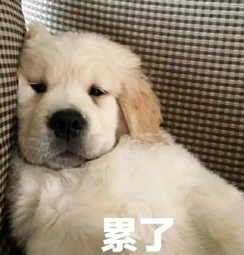 搞笑斗图表情包合集|别逼我动手