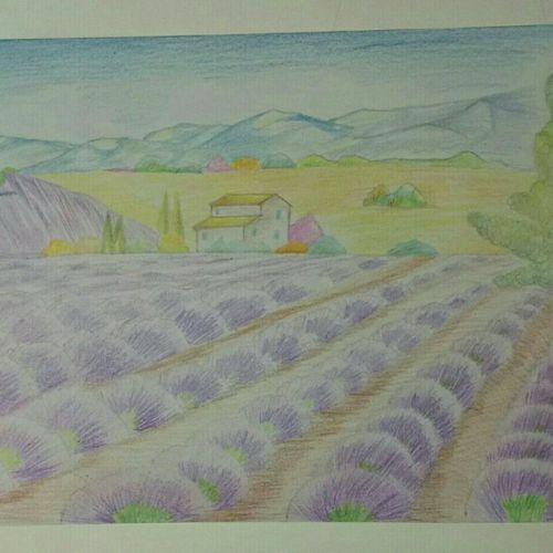 绘画作品薰衣草庄园,画面清新自然,唯美舒适!8开纸