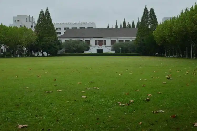 复旦大学