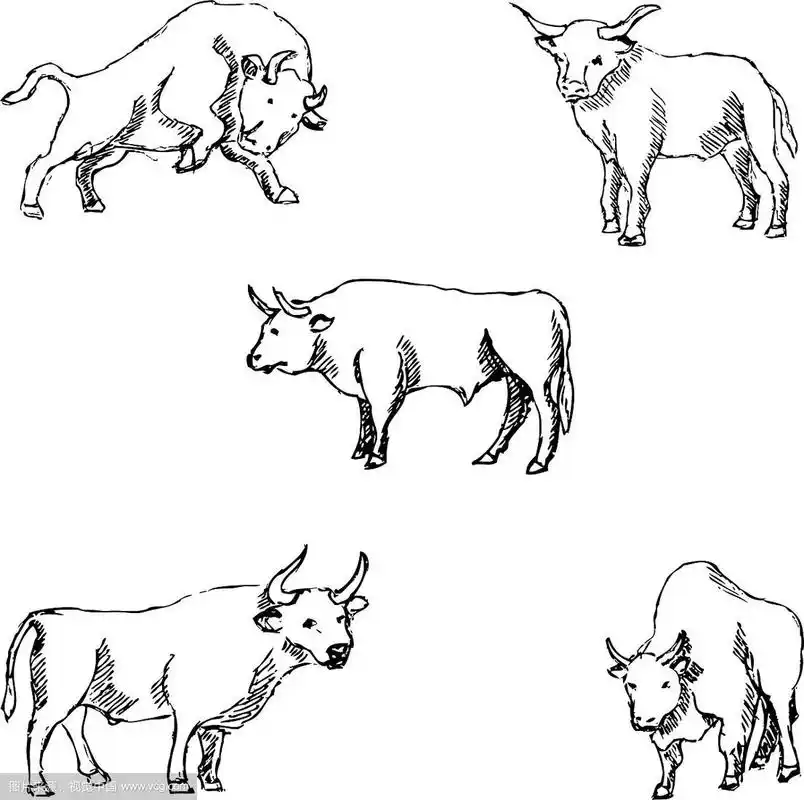 公牛素描铅笔手绘