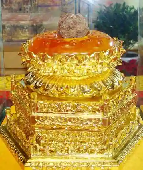 佛陀顶骨舍利盛世重光