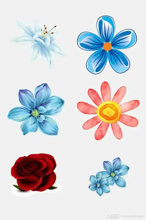 手绘手绘花朵植物免抠素材模板下载-编号2257071-众图网