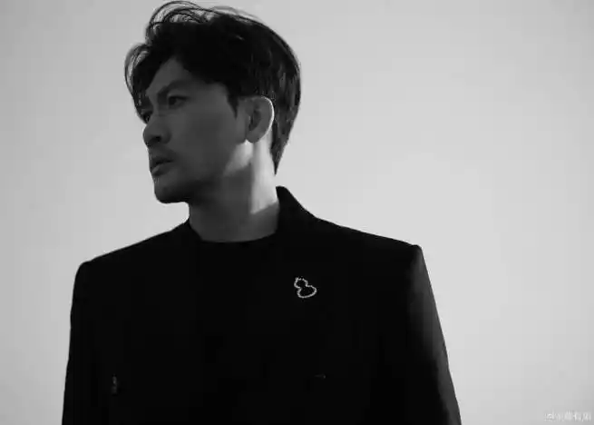 苏有朋留胡子了