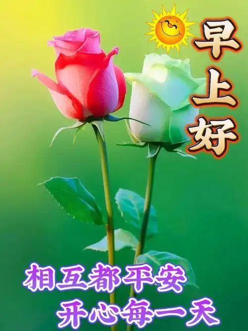 记在心里的朋友,是真诚的,天意给了我们相遇的机会,感恩相识,珍惜缘分