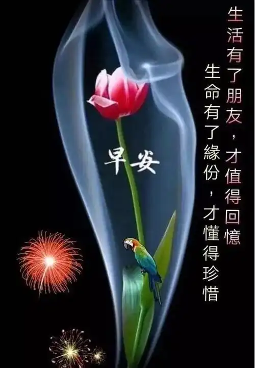 早安暖心祝福问候语图片新的一年最美早安问候表情图片