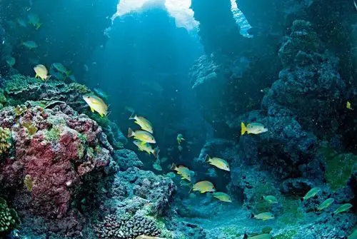 潜入远古的海底洞穴