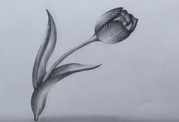 干货i 咸鱼最好的素描绘画宝典