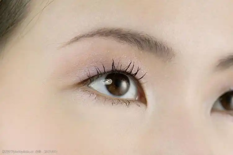 设计图库 高清素材 人物 关键词:女人眼部写真图片素材 眼睛 双眸