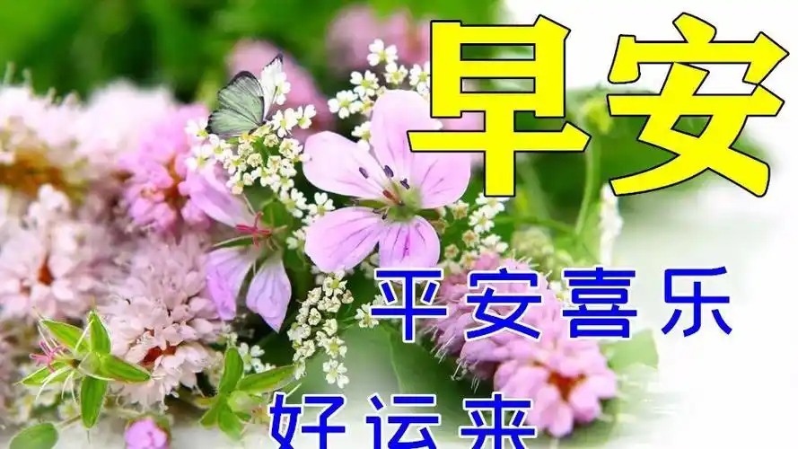 最美早安问候祝福语图片带字温馨清晨早安的问候语表情图片