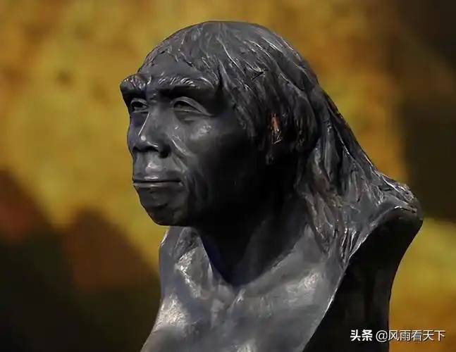 北京人距今多少年(北京猿人的前世今生)-第2张图片-创女网