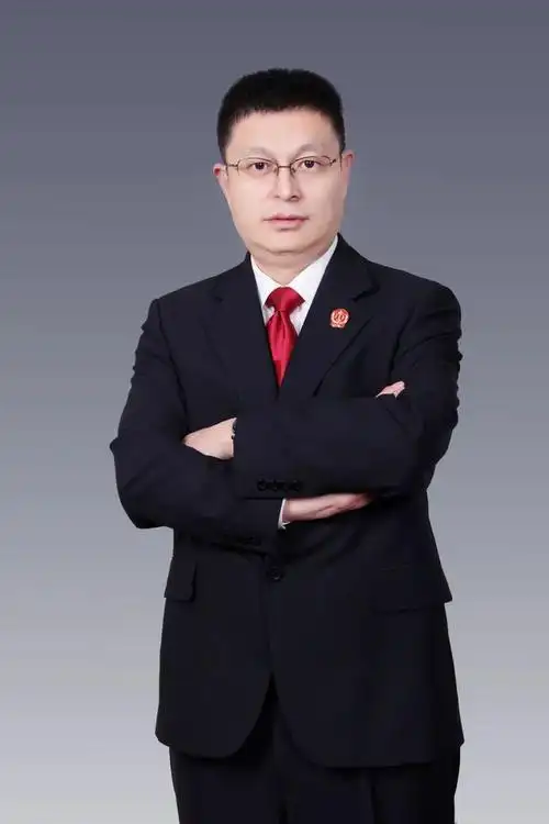 全市法院审判业务专家 | 谢新磊|法官|二庭_网易订阅