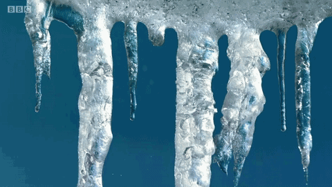 bbc冰天雪地跟踪一家三口,就为了看这个"1月情"种族带娃撩汉