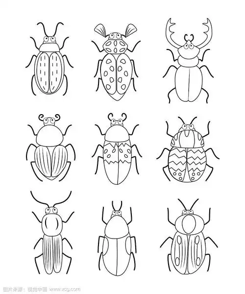 大套手绘涂鸦甲虫