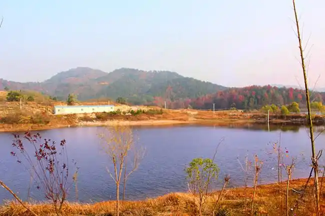 月亮湖原生态景区,位于武汉 a target="_blank" href="/item/黄陂区