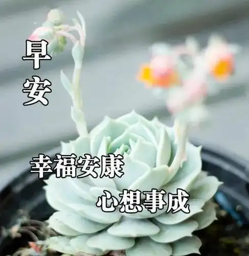 1月6日牛年来了早上好祝福语短信大全早安快乐早安问候图片大全