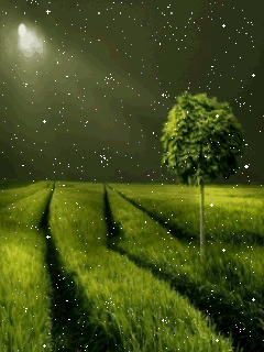 240x320动态壁纸_240x320动态_240x320动态美女