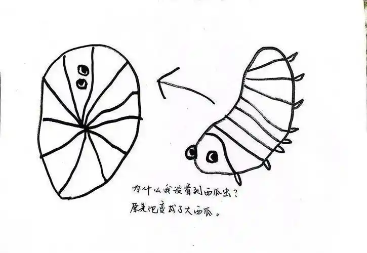 看见儿童——张家港市幼儿园联盟共建课程行动纪实(第八期)_活动_游戏